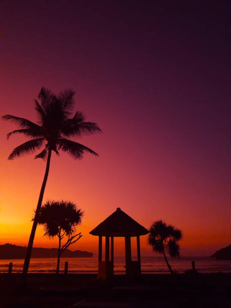 photo of beautiful sunset at the beach in East Java, Indonesia. coconut tree and gazebo at the beach. orange coloured sky when sunset come.