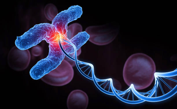 istock X Chromosome, DNA strand. Medical science and biotechnology background. 3d illustration 2151077312