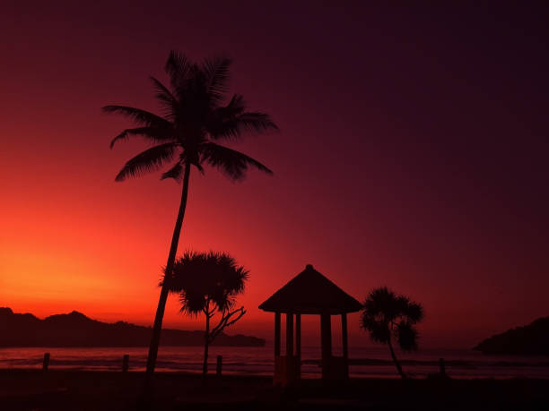 photo of beautiful sunset at the beach in East Java, Indonesia. coconut tree and gazebo at the beach. orange coloured sky when sunset come.