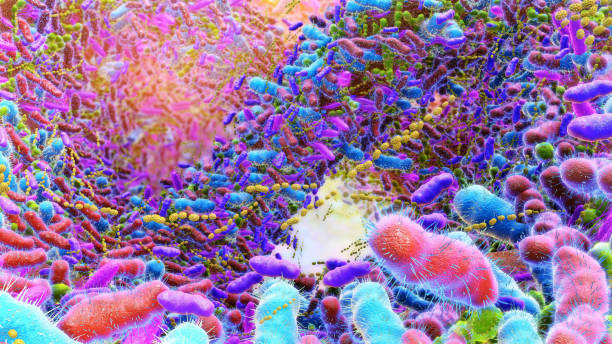 istock Bacteria in Human Intestine. 2151078392