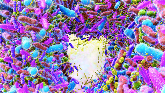 Different germs in the human intestines called microbiome,Bacteria Lactobacillus in human intestine,Beneficial healthy intestinal bacterium microflora,Gut bacteria