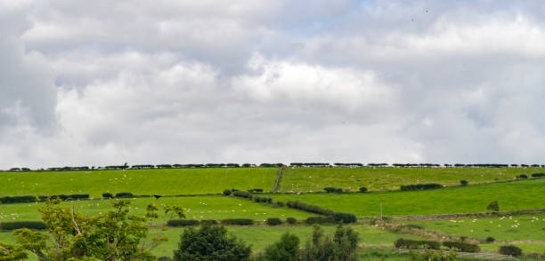 Ireland Hill of  Tara neolithic burial mound