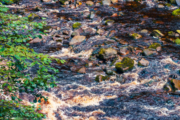 round stones at the bottom of the river under a crystal clear water