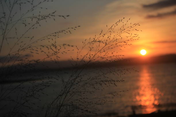 istock sunset at the lake 2151079919