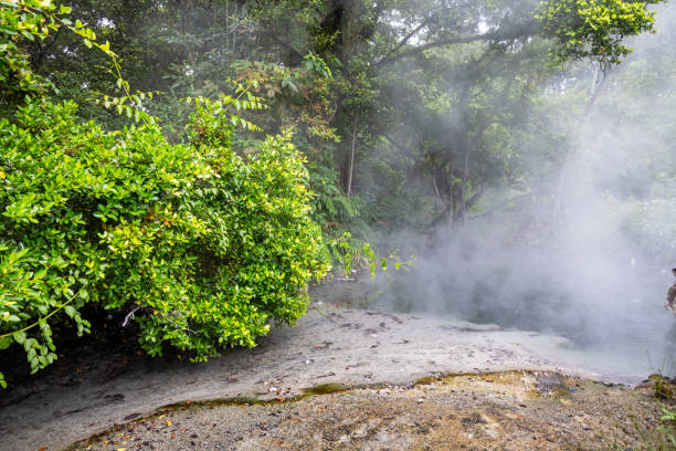 Volcanic springs steaming in the jungle on a wet and rainy day. The picture is taken in Panti in the northern part of Sumatra