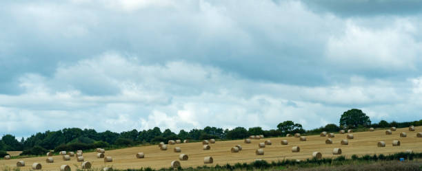 Rural Northumberland farm field views from the A69 near Corbridge.