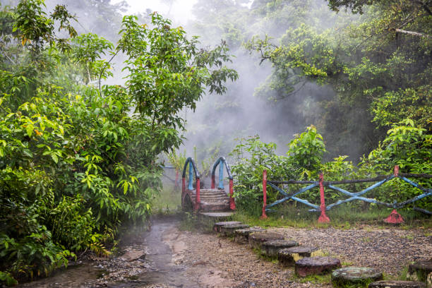 istock Jungle with steaming volcanic lakes 2151080199