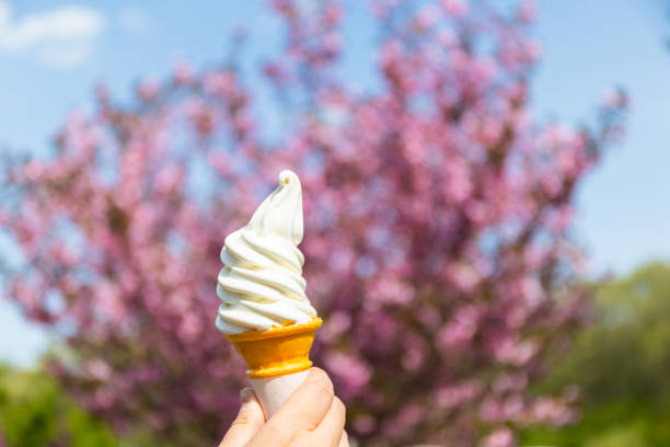 A close up of an ice cream being held up with a pink spring Momo flower tree background.