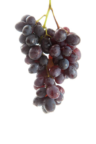 istock Bunch of organic black grapes isolated on white background 2151085423