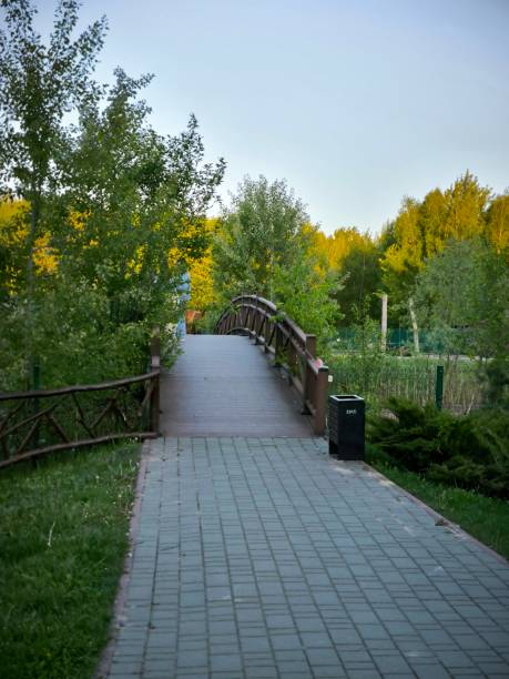 istock Green landscapes, green forest, birches, white birches, pond, river, nature, 2151087789