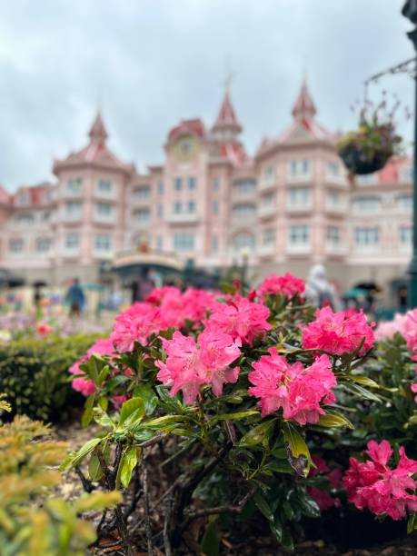 Castle in Disneyland Paris