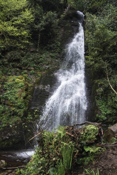 istock Tsablenari waterfall in Mtirala National Park, Georgia 2151090118
