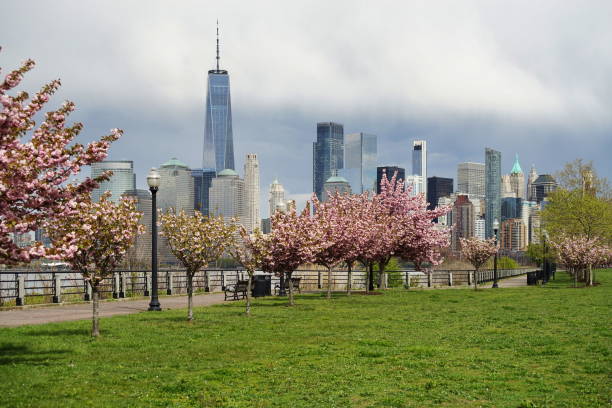istock Cherry blossom in Liberty State Park 2151092188