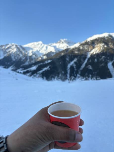 istock Beautiful Sonamarg, Jammu and Kashmir 2151092332