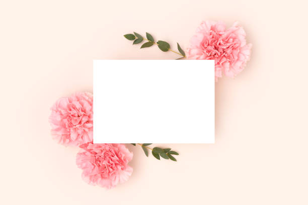 istock Empty paper card mockup, pink carnation flowers and green eucalyptus branches. 2151093055
