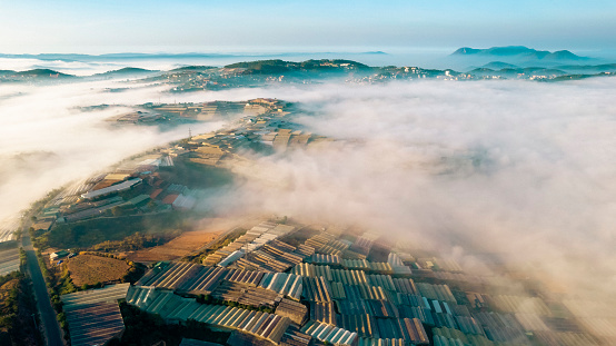 aerial view captures mist-covered mountains with patches of greenery and structured agricultural fields, showcasing nature’s beauty intertwined with human cultivation.