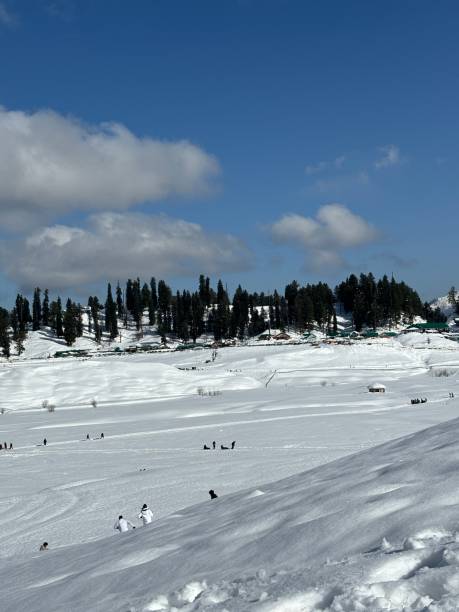 istock Gulmarg, gandola Ride, Jammu and Kashmir 2151093550