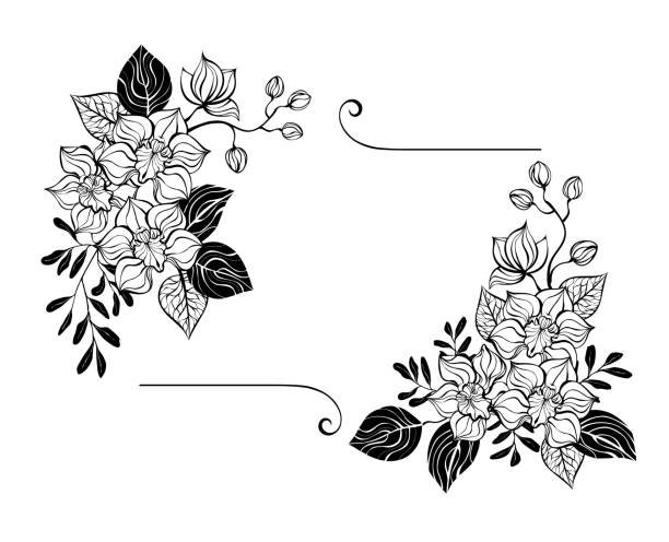 Rectangular composition with contour orchids Rectangular floral composition of artistically drawn, black contoured orchids with silhouetted pistachio and eucalyptus twigs on white background. Contour orchid. flower bed ideas silhouette stock illustrations