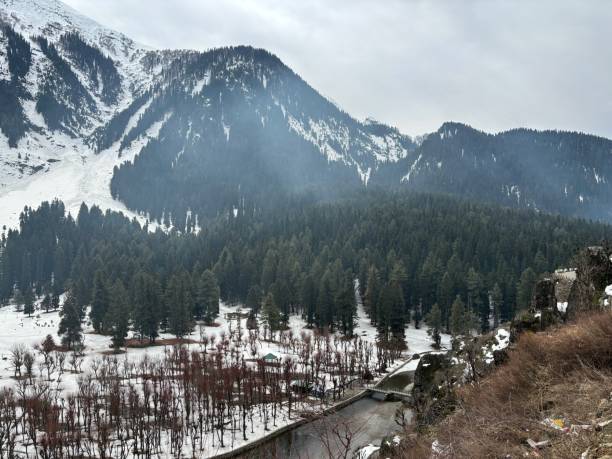 istock Beautiful Pahalgam, Jammu and Kashmir 2151094902