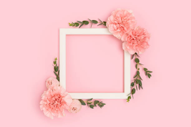 istock Square frame made of carnation flowers and green eucalyptus branches. 2151095105