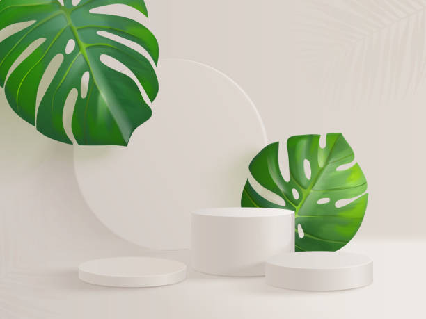 istock Tropical leaves podium. Realistic showcase stand with green monstera leaf, summer or spring sale product presentation placement 3d exotic foliage platform exact vector illustration 2151096198