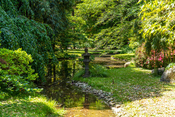 Jardin zen japonais