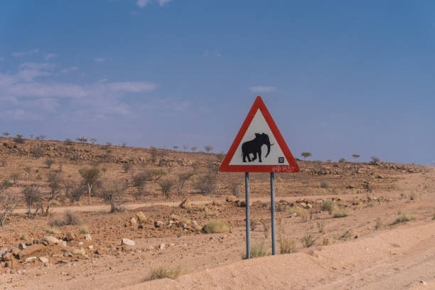 istock Elephant warning sign near Twyfelfontein, Namibia 2151099632