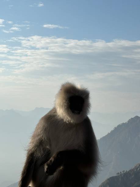 istock Shri Mata Vaishno Devi, Katra, Jammu and Kashmir 2151099798