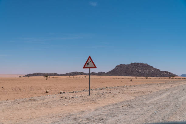istock Giraffe warning sign along the C27, Namibia 2151101642