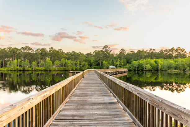 A pedestrian bridge spans Laura Walker Lake near Waycross, Georgia.