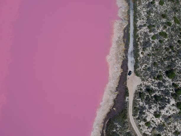 istock Hutt lagon pink lake 2151108808