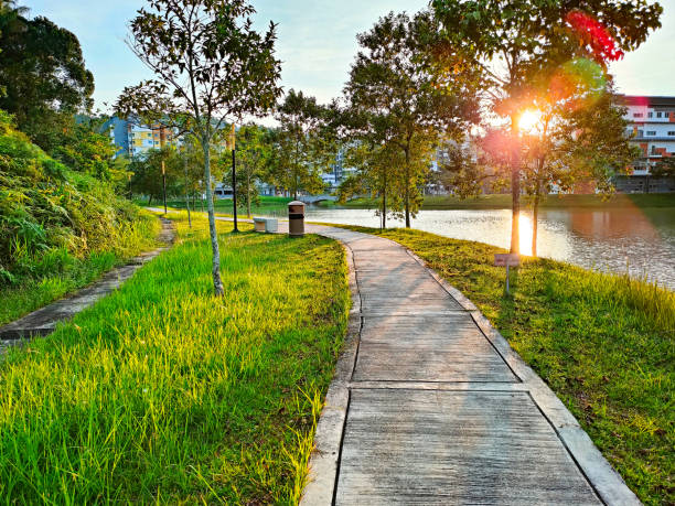 istock Small concrete walkway on green grass lawn in park with warm sunset sunlight. 2151110196