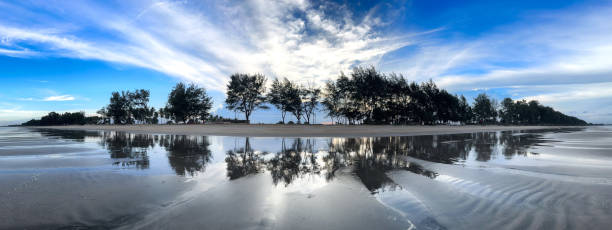 Silhouette trees on beach at sunset with blue still sky and bright white and yellow cloud with reflection of sea water on the sand at Pantai Sepat, Kuantan Pahang, Malaysia.