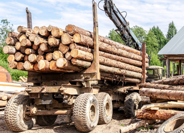 istock Timber carrier with large sawn logs at the wood storage place 2151113598