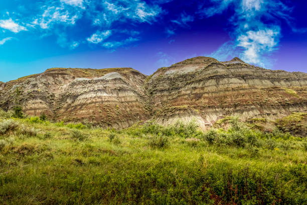 Badlands, trees and Red Deer river on a cloudy day Dry Island Bufflao Jump Provincial Park Alberta Canada