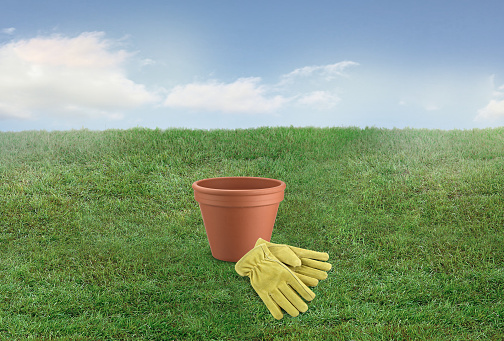 Gardening gloves with an empty planting pot in a lawn