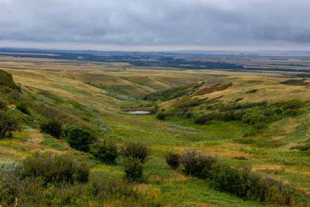 istock MD of Willow Creek, Alberta, Canada 2151115970