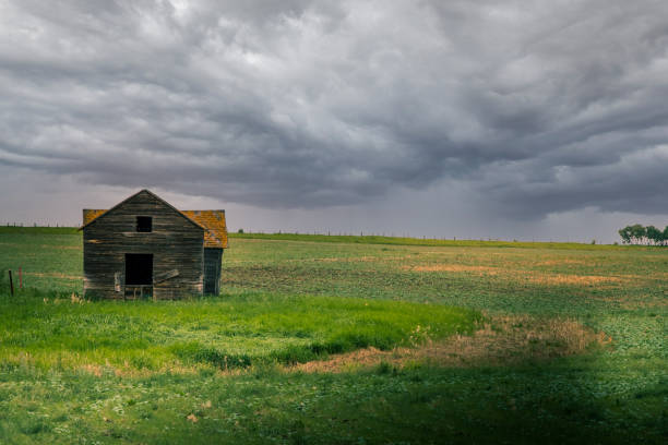 istock Rustic farm house on the landscape Kneehill County Alberta Canada 2151117012