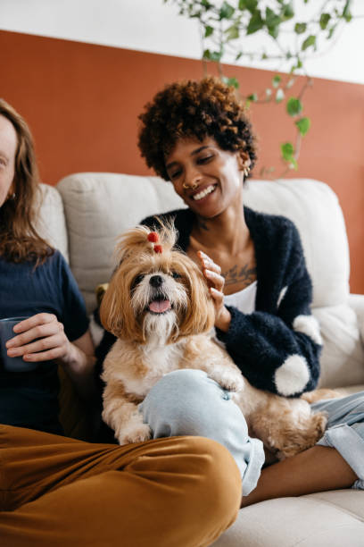 istock Couple relaxing at home with their adorable dog 2151117062