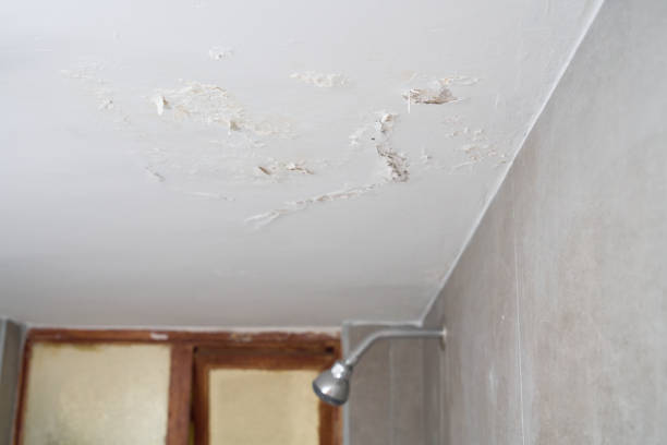 istock Damp buildings damaged by black mold and saltpeter 2151119309
