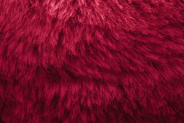 red velour plush cloth textured background for design purpose