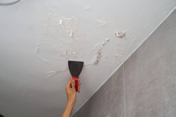 istock Man with mask in front of wall and ceiling with mold and saltpeter 2151119351