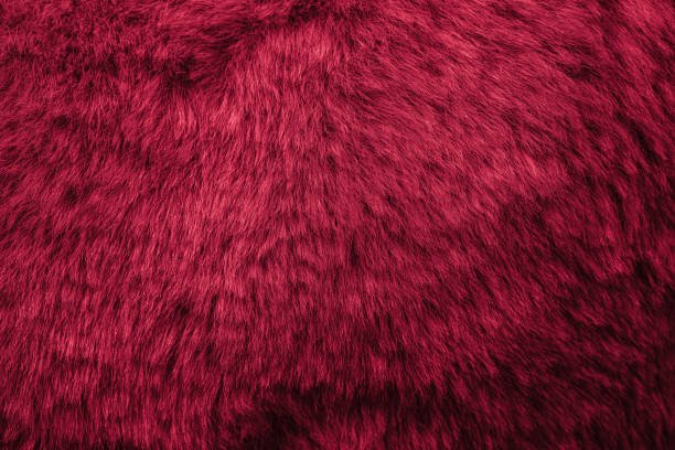 istock red velour plush cloth textured background 2151119853