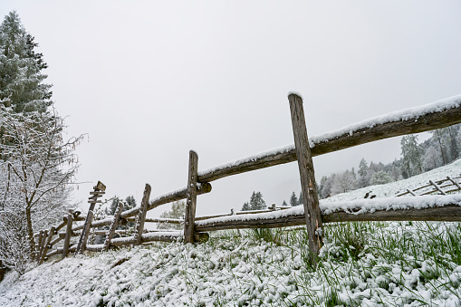 Val Manez in Italy. Snow in April on the mountain. Snow lies heavily on the trees and the fence.