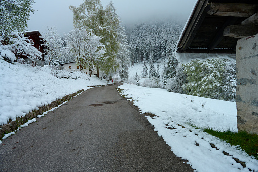 Val Manez in Italy. Small road in the Italian Dolomites. Snow covered fields in April