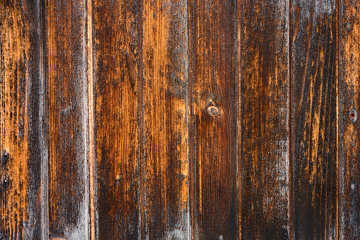 Val Manez in Italy. Old door in warm tone wood