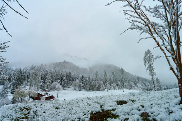 Val Manez in Italy. Snow is still falling the last days of April in the  Italian Dolomites