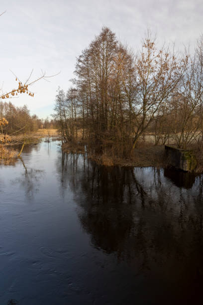istock winter without snow and a river in a forest with bare trees 2151127620