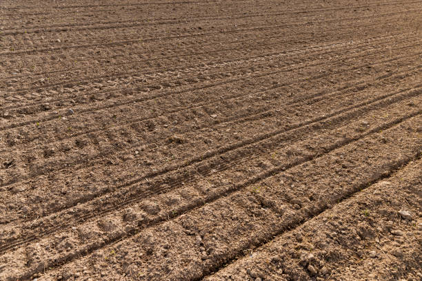 istock plowed fertile soil for agricultural activities 2151127755