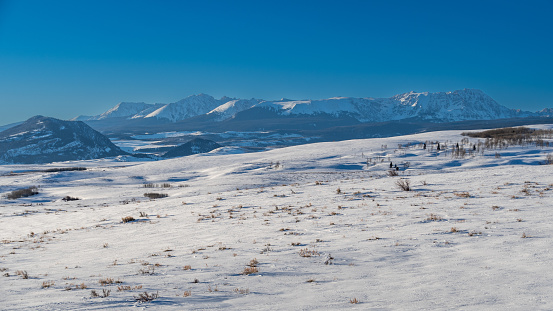 A spring snowfall covers the Colorado landscape with snow capped mountains in the distance.